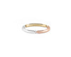 segment ring la 4g